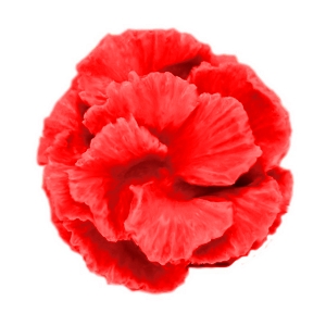 Molde silicone Cravo 3D