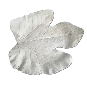 Folha de Figueira em Gesso