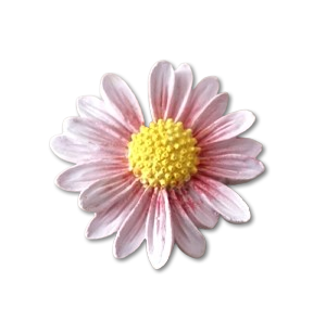 Margarida pintada em gesso perfumado
