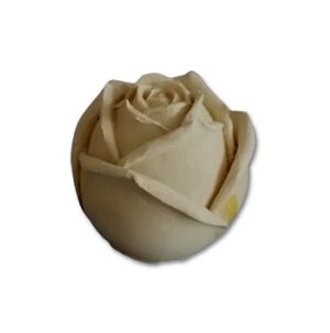 Botão de Rosa Grande