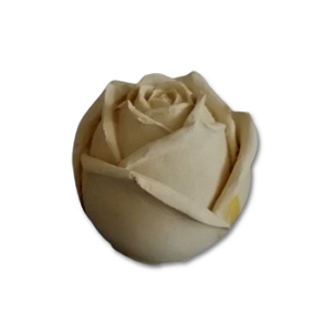 Botão de Rosa Grande